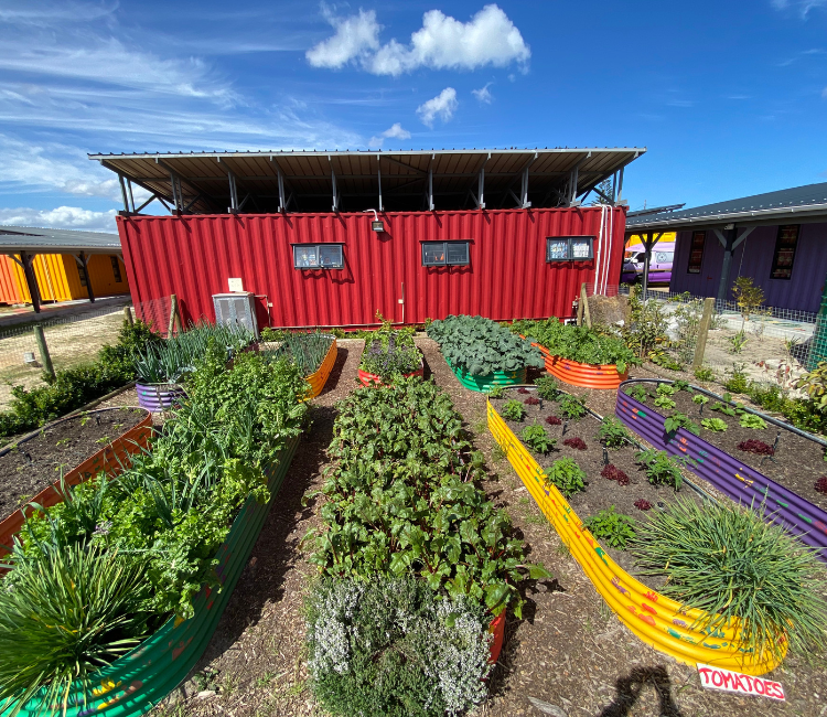 Philisa Abafazi-GARDEN-FOOD PROGRAM 7